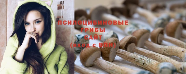 прущая мука Медногорск