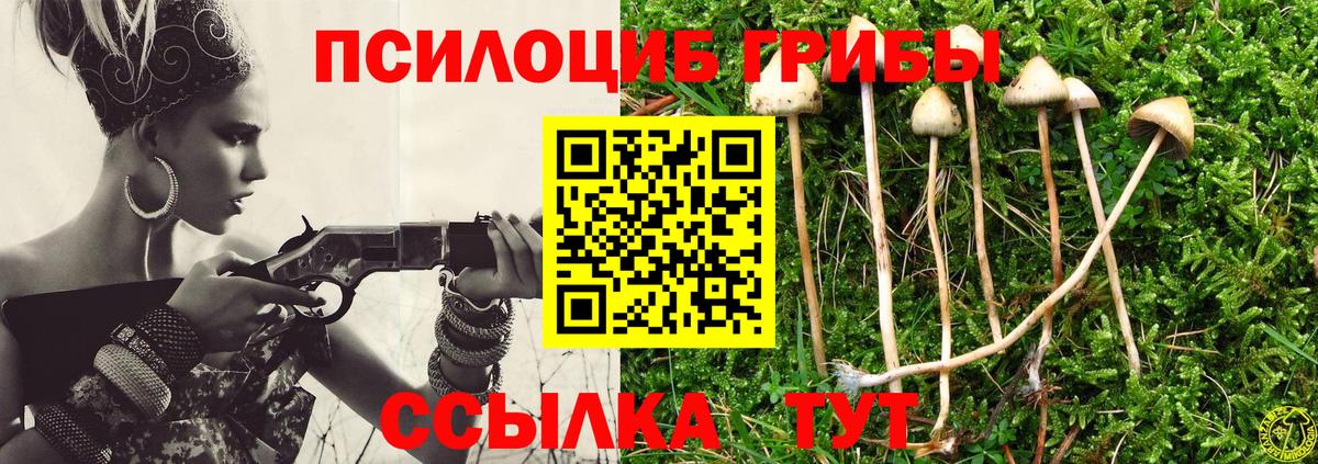 Галлюциногенные грибы Cubensis Гусь-Хрустальный