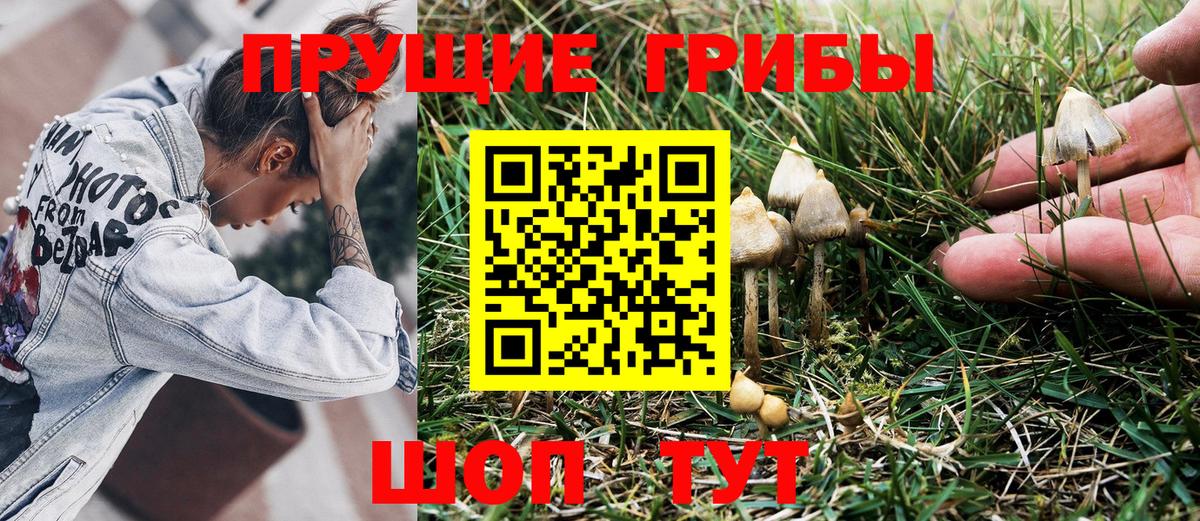 Галлюциногенные грибы мухоморы  купить наркоту  Гусь-Хрустальный  Вход с VPN 